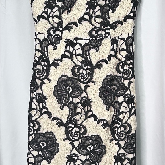 Antonio Melani Nico lace ruffle midi dress - Picture 5 of 6